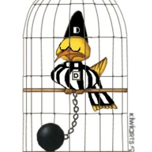 Meet your Posher, Fredrick